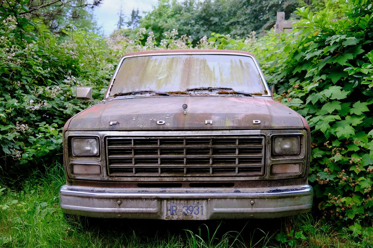Old Ford in the brambles, photographed by Christian Miles